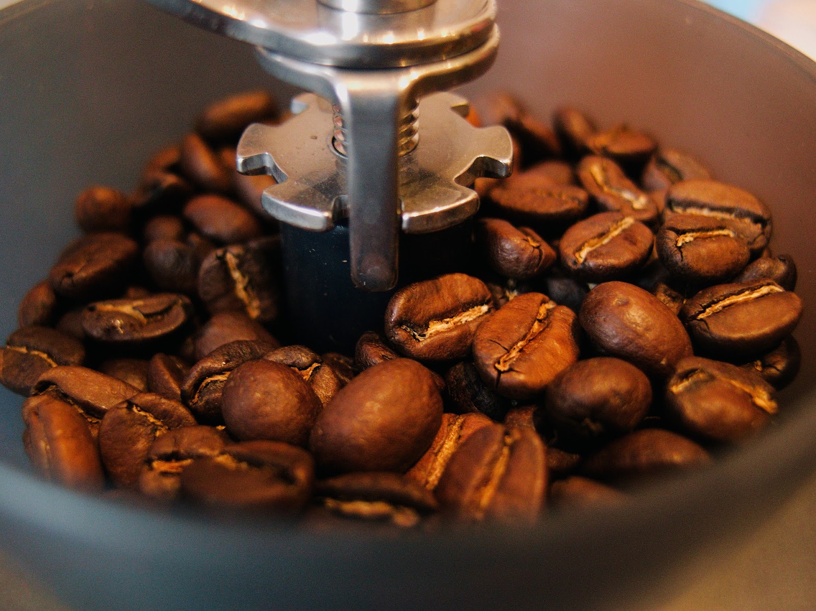 coffee beans inside burr grinder