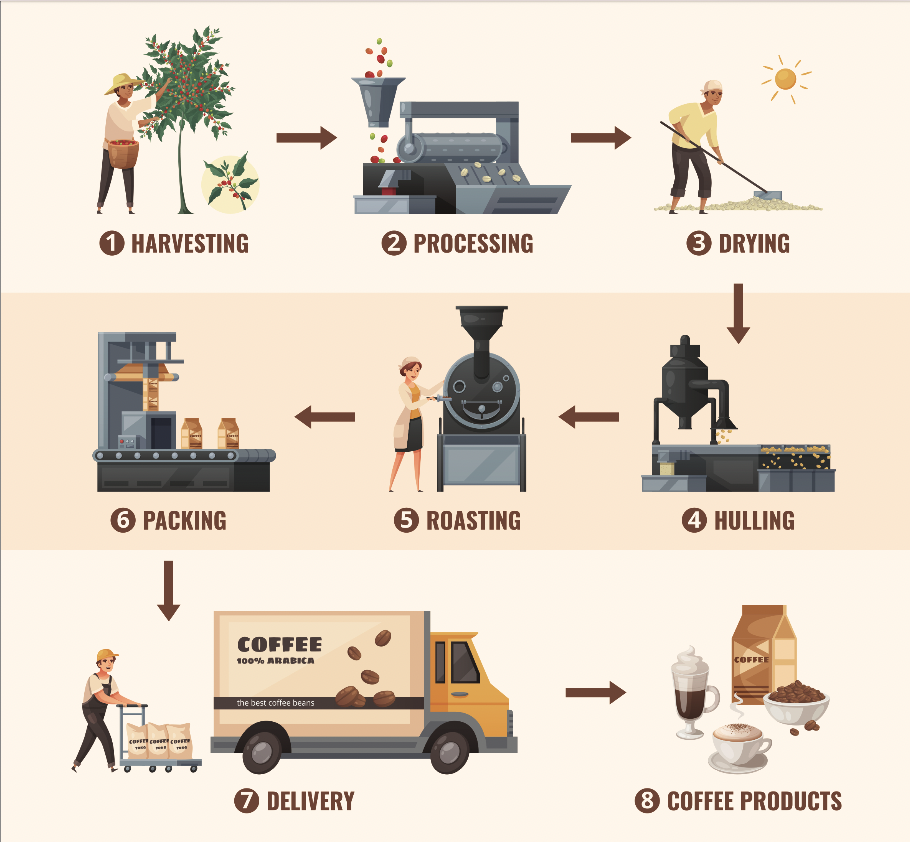 graphic of coffee production